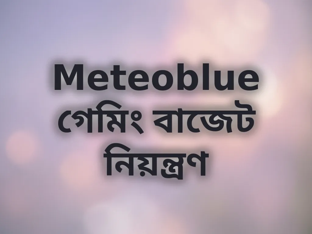 বাজেট ম্যানেজমেন্ট